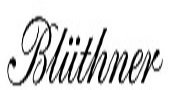 logo bluthner